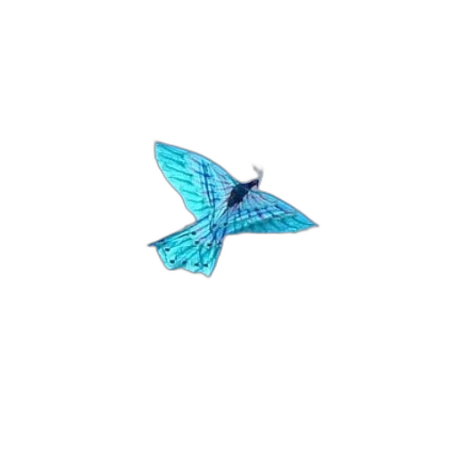 animal, jewelry, flower, umbrella transparent PNG cut-out