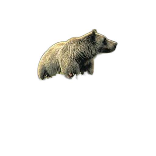 animal, creature, staff, jewelry transparent PNG cut-out