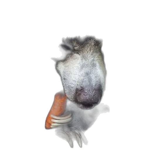 animal, creature, dragon, staff transparent PNG cut-out