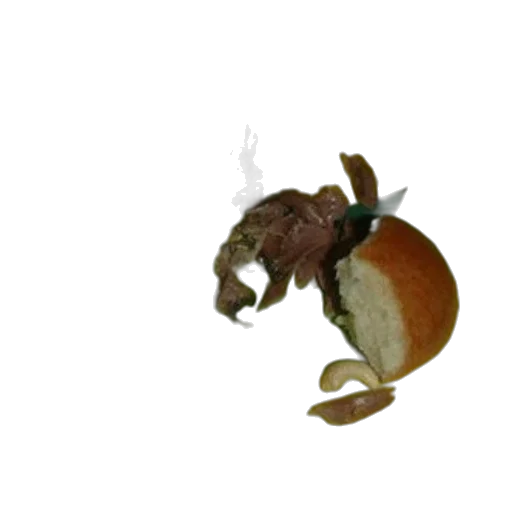 food, animal, staff, jewelry transparent PNG cut-out