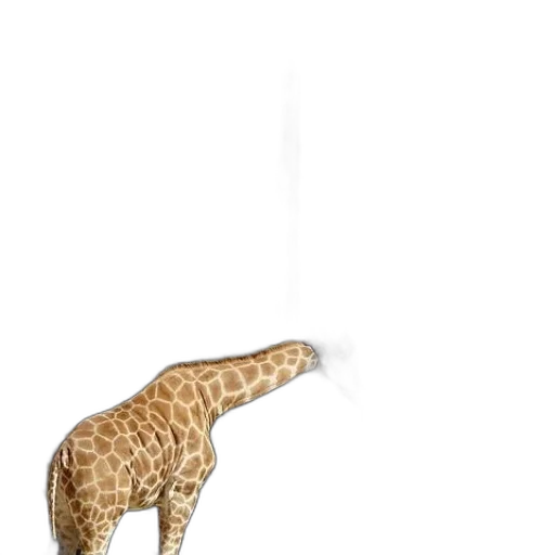 animal, creature, staff, weapon transparent PNG cut-out
