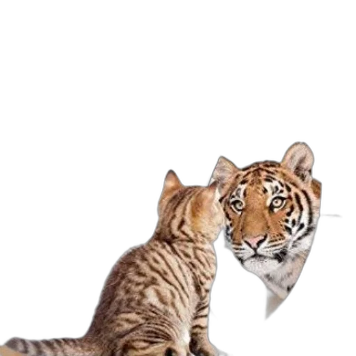 animal, creature, staff, crown transparent PNG cut-out