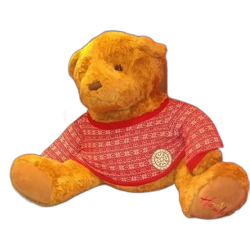 large, teddy, bear, wearing transparent PNG cut-out