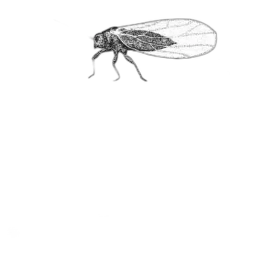 animal, creature, dragon, robot transparent PNG cut-out