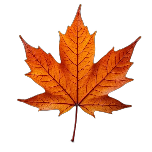 tree, crown, flower, photorealistic transparent PNG cut-out