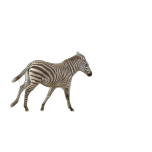 animal, creature, jewelry, furniture transparent PNG cut-out