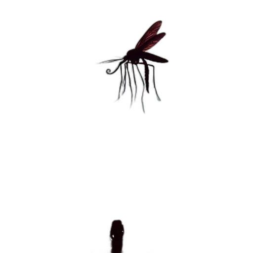 creature, animal, umbrella, hair transparent PNG cut-out