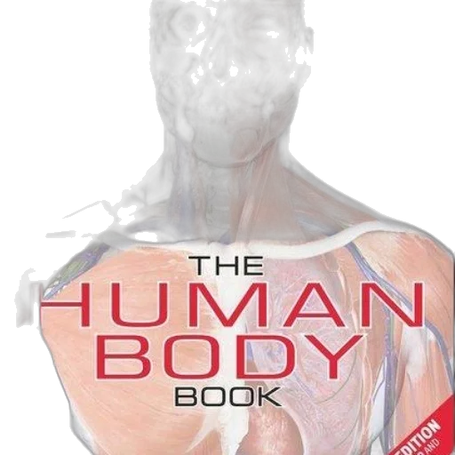 robot, human, body, book transparent PNG cut-out