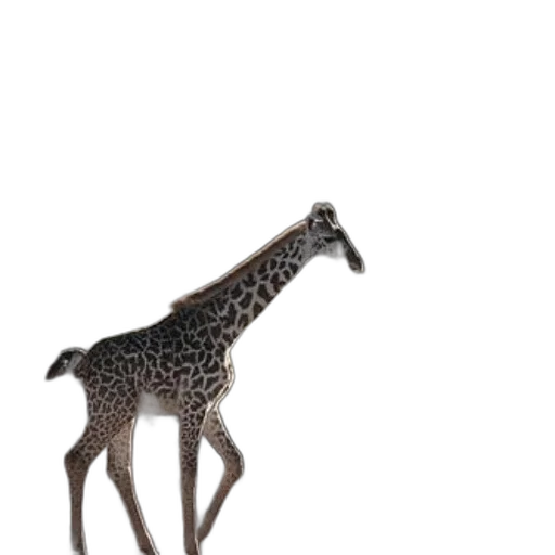 animal, creature, jewelry, staff transparent PNG cut-out
