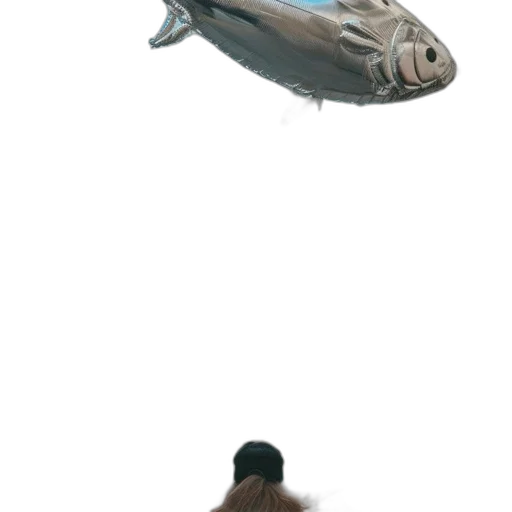 creature, weapon, animal, shoes transparent PNG cut-out