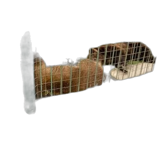 weapon, furniture, shoes, animal transparent PNG cut-out
