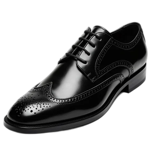 shoes, photorealistic, black, leather transparent PNG cut-out