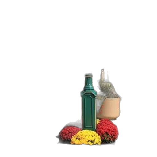 bottle, food, crown, umbrella transparent PNG cut-out