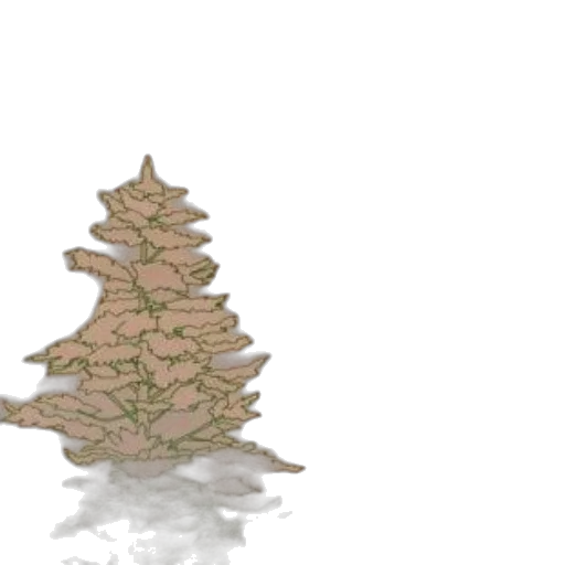 tree, crown, dragon, hat transparent PNG cut-out