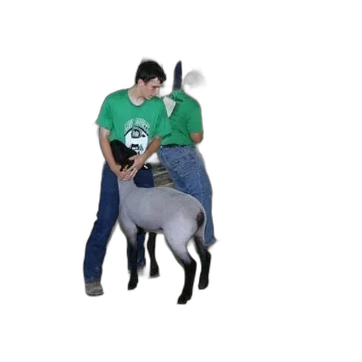 animal, staff, creature, weapon transparent PNG cut-out