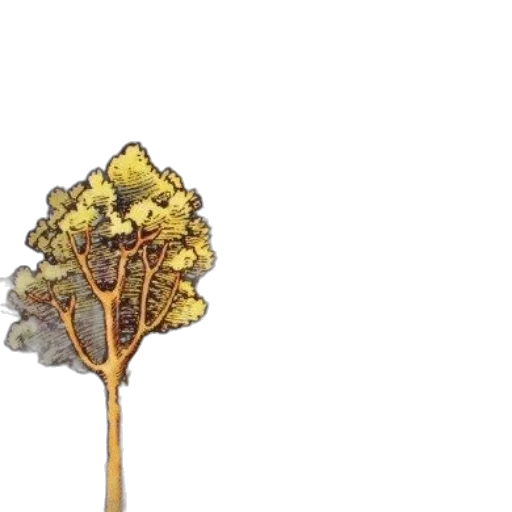 tree, crown, staff, flower transparent PNG cut-out