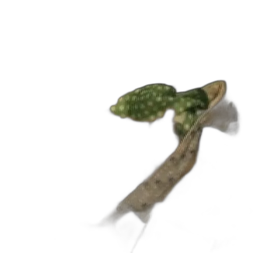staff, tree, weapon, dragon transparent PNG cut-out