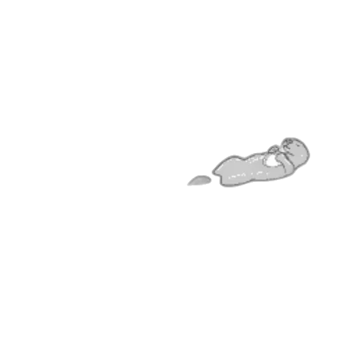 shoes, animal, creature, weapon transparent PNG cut-out