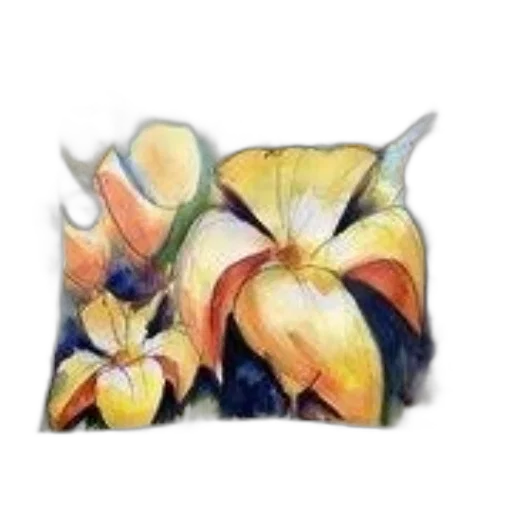 flower, crown, jewelry, hat transparent PNG cut-out