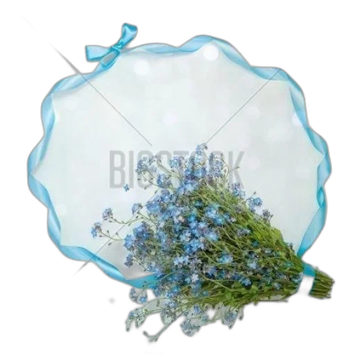 crown, flower, jewelry, umbrella transparent PNG cut-out