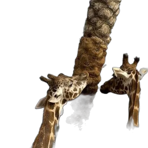 animal, staff, creature, weapon transparent PNG cut-out