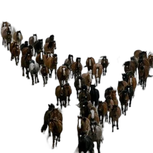 animal, staff, concept art, herd transparent PNG cut-out