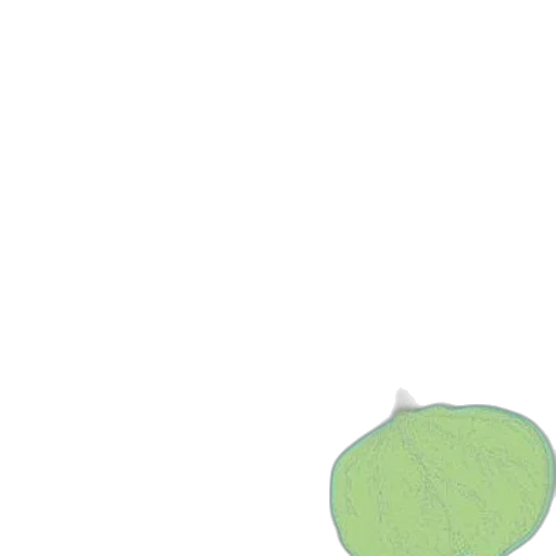tree, food, hat, umbrella transparent PNG cut-out
