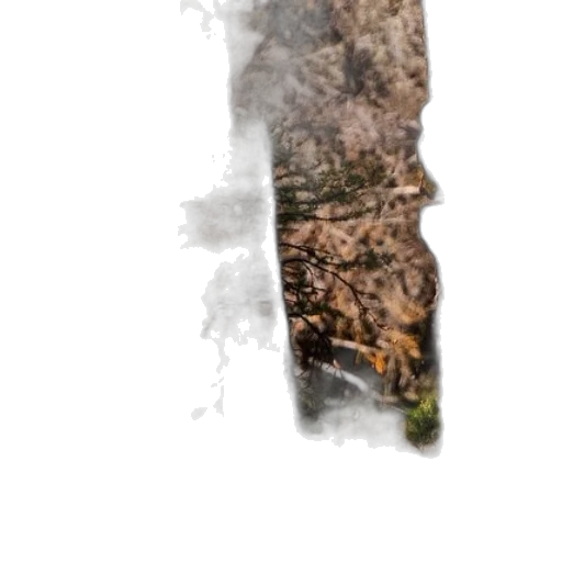 tree, sword, hair, dragon transparent PNG cut-out