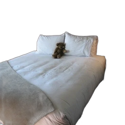 animal, furniture, creature, staff transparent PNG cut-out