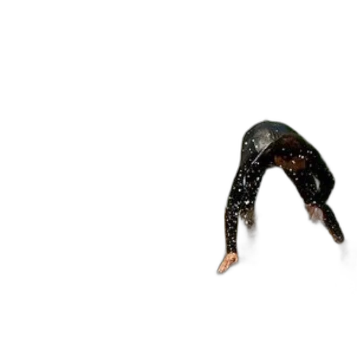 creature, mask, animal, hair transparent PNG cut-out