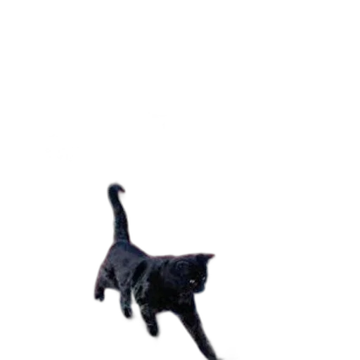 animal, staff, creature, robot transparent PNG cut-out