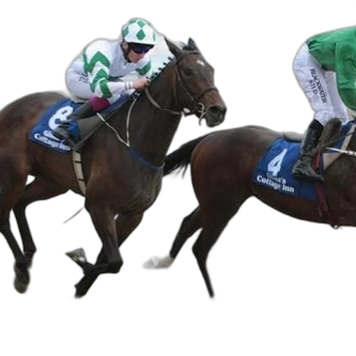 two, jockeys, horses, racing transparent PNG cut-out
