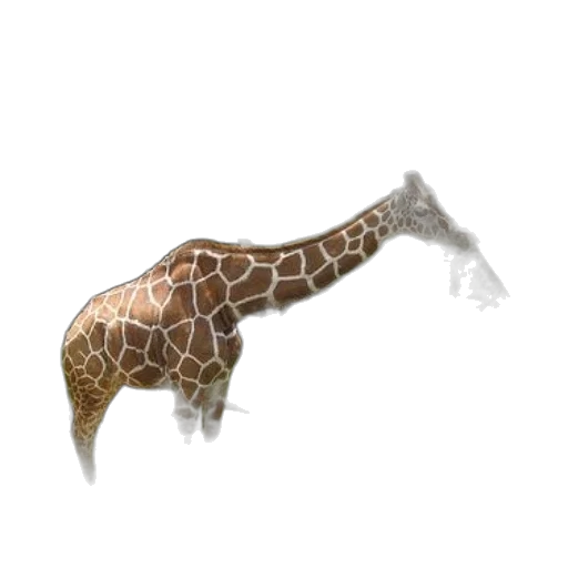 animal, creature, staff, dragon transparent PNG cut-out