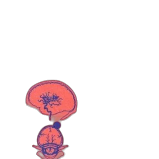 umbrella, flower, crown, hat transparent PNG cut-out