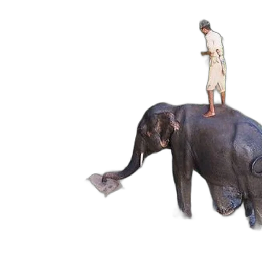 animal, creature, staff, concept art transparent PNG cut-out