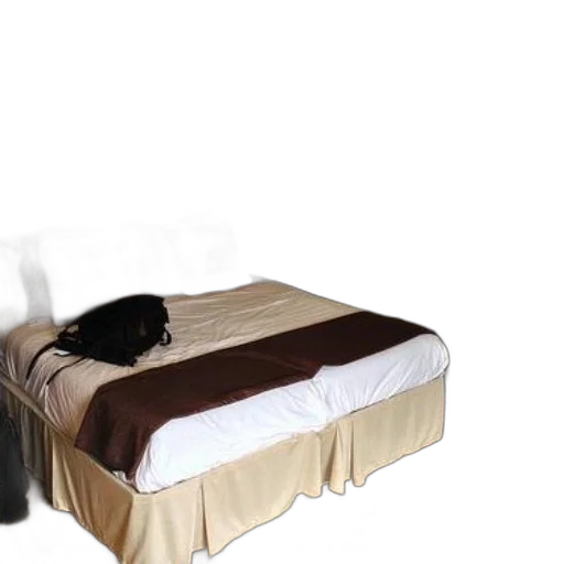 furniture, shoes, mask, animal transparent PNG cut-out