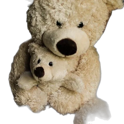 3d render, large, teddy, bear transparent PNG cut-out