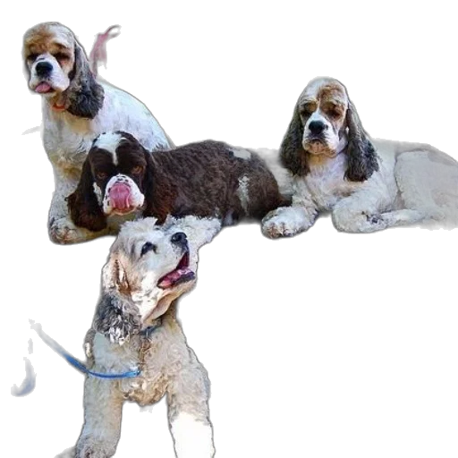 staff, animal, photorealistic, 3d render transparent PNG cut-out