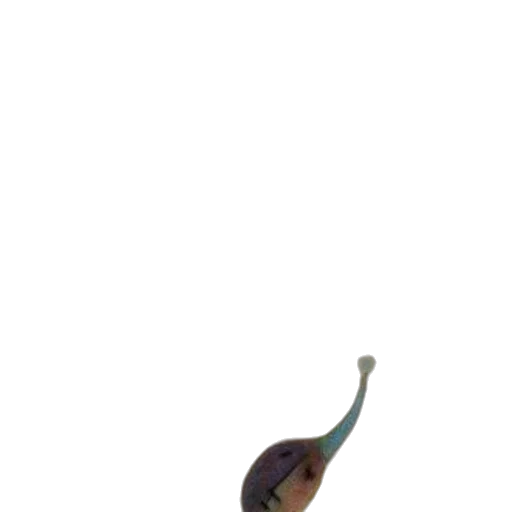 staff, creature, dragon, hat transparent PNG cut-out