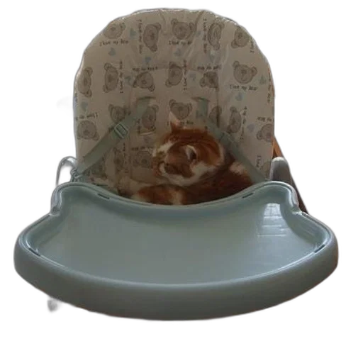 hat, furniture, crown, 3d render transparent PNG cut-out