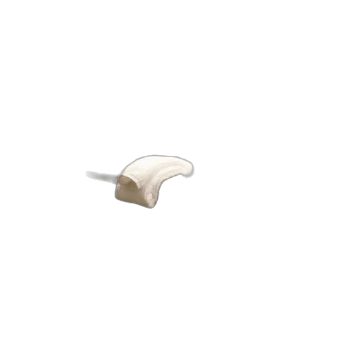 hat, furniture, jewelry, shoes transparent PNG cut-out