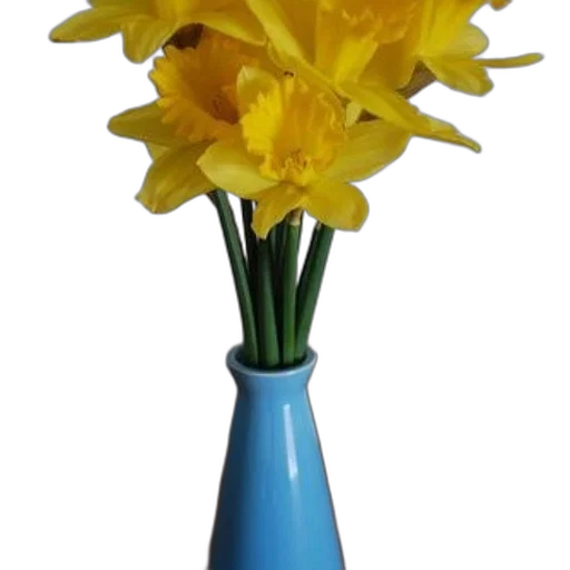 flower, bottle, crown, 3d render transparent PNG cut-out