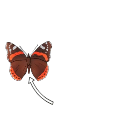 animal, jewelry, creature, staff transparent PNG cut-out