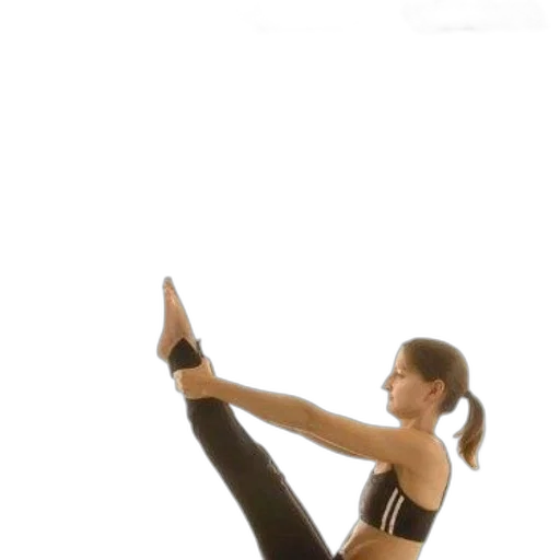 staff, anatomy, pilates, book transparent PNG cut-out
