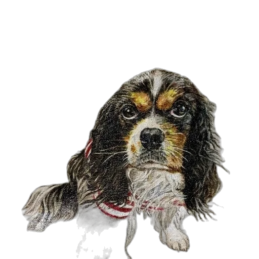 staff, animal, umbrella, photorealistic transparent PNG cut-out
