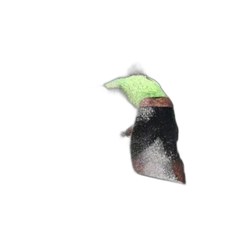 hat, mask, crown, animal transparent PNG cut-out