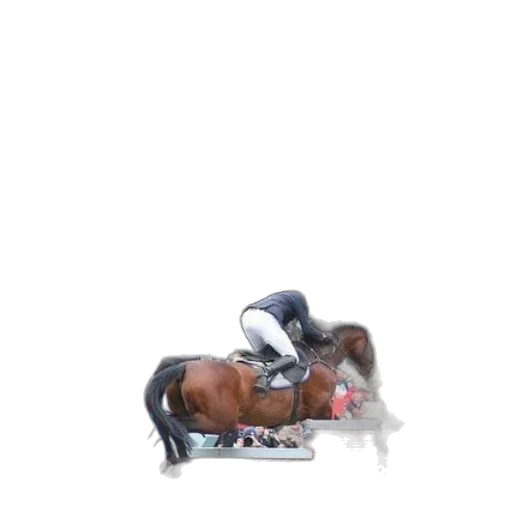 animal, photorealistic, vaporwave, concept art transparent PNG cut-out