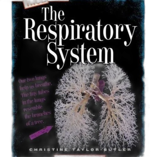respiratory, system, book, cover transparent PNG cut-out