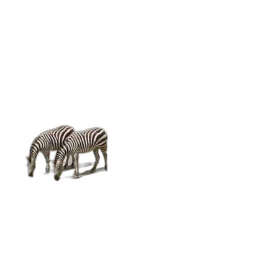 animal, creature, furniture, jewelry transparent PNG cut-out