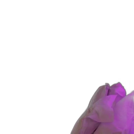 mask, staff, weapon, jewelry transparent PNG cut-out